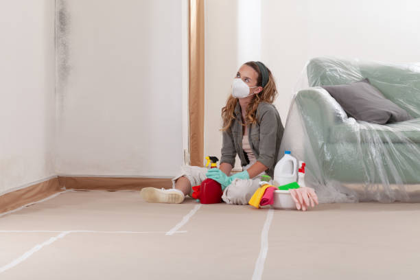 Reliable Basement Mold Remediation contractor in Leesburg, FL by 24 Hour Mold Removal